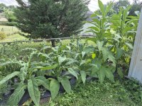 20250713_162847.jpg 20250713_162847.jpg