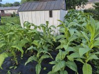 20250721_201225.jpg 20250721_201225.jpg