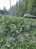 IMG_4807.jpeg