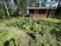 IMG_4811.jpeg