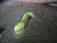 20250722_200515.jpg 20250722_200515.jpg