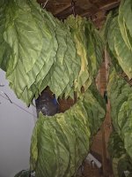 20250726_051028.jpg