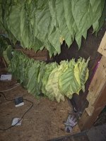 20250726_051036.jpg