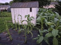 20250727_204818.jpg 20250727_204818.jpg