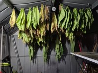 20250727_205132.jpg 20250727_205132.jpg