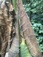 IMG_5804.jpeg