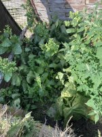 IMG_5819.jpeg