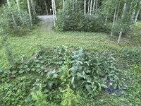 IMG_5051.jpeg