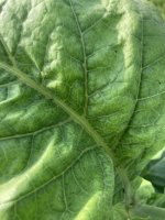 IMG_5847.jpeg