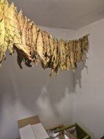 20250809_061521.jpg