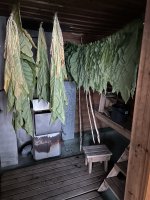 IMG_5105.jpeg
