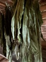 IMG_5133.jpeg