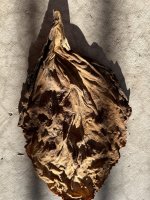 20250904-1.jpg