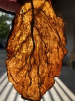 20250904-2.jpg