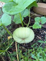 IMG_0364.jpeg IMG_0364.jpeg