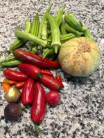 IMG_0357.jpeg IMG_0357.jpeg