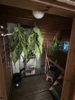 IMG_5168.jpeg