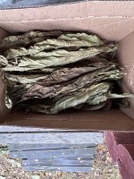 IMG_5171.jpeg