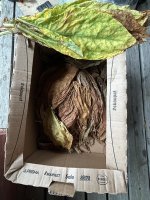 IMG_5172.jpeg