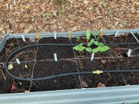 IMG_1218.jpeg IMG_1218.jpeg