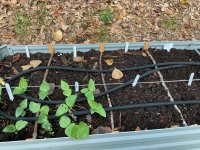 IMG_1220.jpeg IMG_1220.jpeg