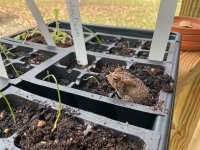 IMG_1225.jpeg IMG_1225.jpeg