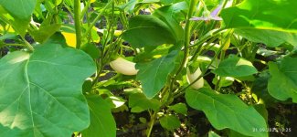 photo_2025-09-21_10-30-40 (3).jpg photo_2025-09-21_10-30-40 (3).jpg