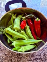 IMG_0407.jpeg IMG_0407.jpeg