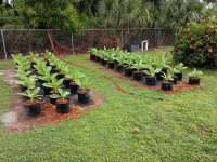 IMG_20250923_085307821_HDR.jpg