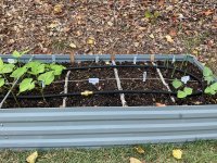 IMG_1245.jpeg IMG_1245.jpeg