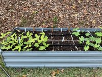 IMG_1244.jpeg IMG_1244.jpeg