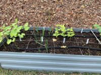 IMG_1242.jpeg IMG_1242.jpeg