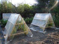 453246141_1549244959337786_4752242833924694074_n.jpg 453246141_1549244959337786_4752242833924694074_n.jpg