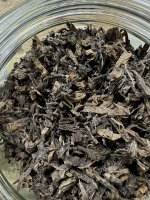 IMG_4231.jpeg IMG_4231.jpeg