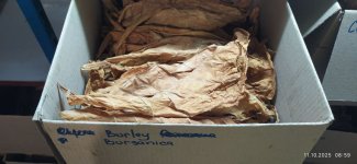 photo_2025-10-11_09-05-59 (3).jpg