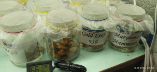 photo_2025-10-11_09-05-59 (2).jpg