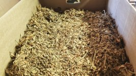 Tobacco 2025-10-14 3.jpg