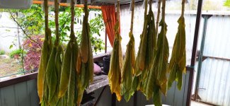 photo_2025-10-16_16-07-08 (3).jpg