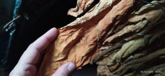 photo_2025-10-16_16-46-45 (3).jpg