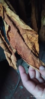 photo_2025-10-16_16-46-43 (2).jpg