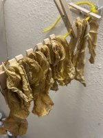 IMG_4425.jpeg