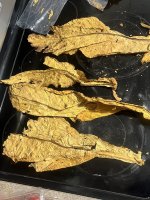 IMG_9964.jpeg