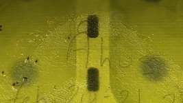 20260224_032721.jpg