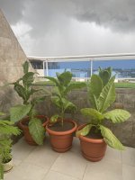 IMG_6717.jpg