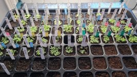 50 sorter 2026-04-28.jpg