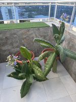 IMG_6889.jpg