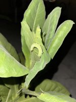 IMG_6900.jpg