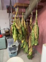 IMG_7283.jpg