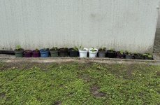 IMG_1110.jpeg