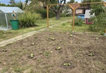 IMG_1287.jpeg